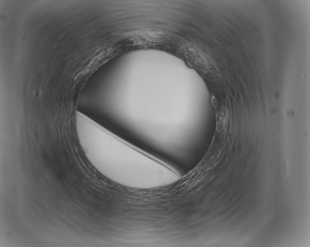 X0000086341012200703300951