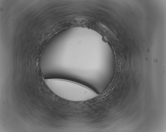 X0000086341013200703300951