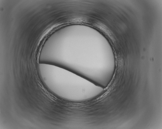X0000086341023200703300951