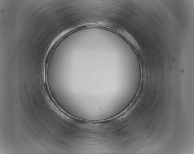 X0000086341036200703300951