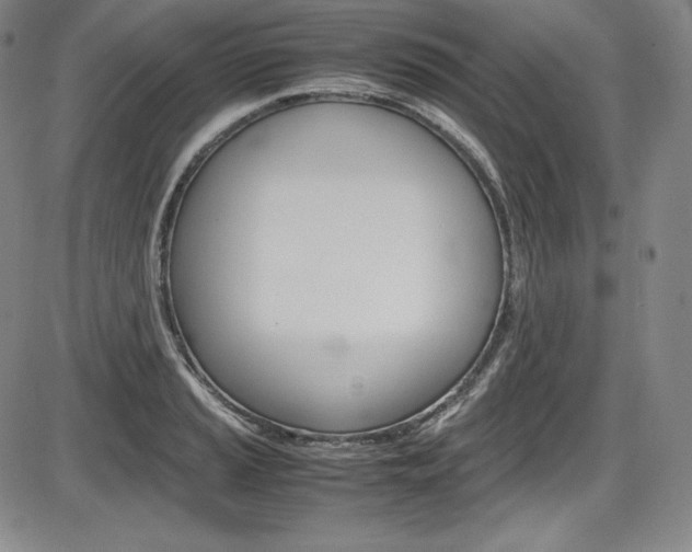 X0000086341037200703300951
