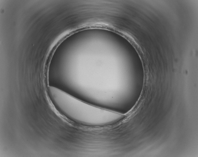 X0000086341038200703300951