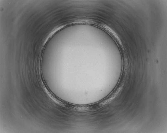 X0000086341041200703300951