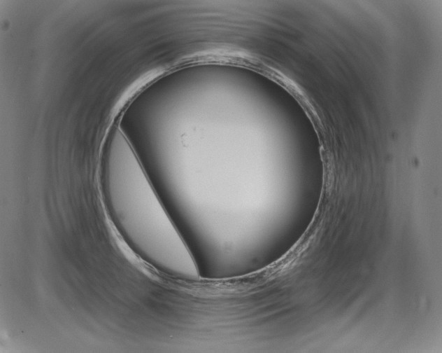 X0000086341042200703300951