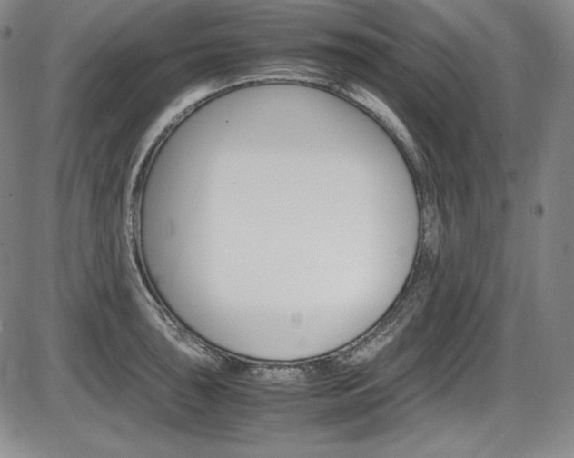 X0000086341043200703300951