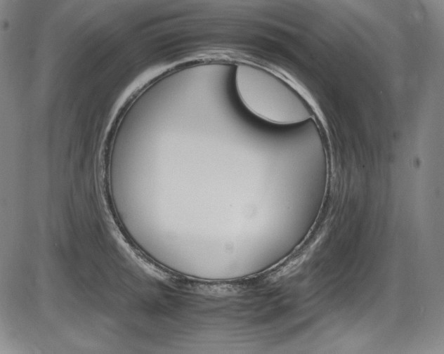 X0000086341045200703300951