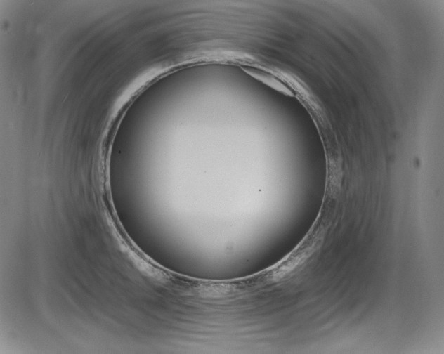 X0000086341046200703300951