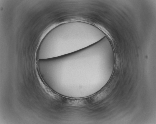 X0000086341047200703300951
