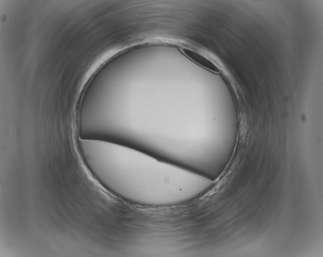 X0000086341048200703300951