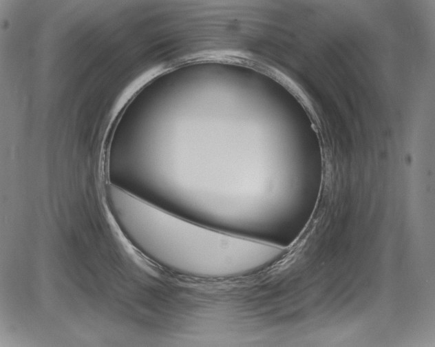 X0000086341050200703300952