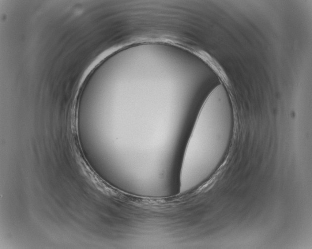 X0000086341052200703300952