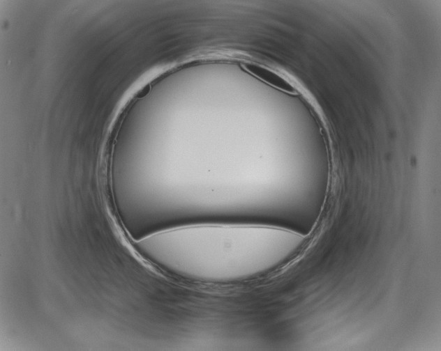 X0000086341053200703300952