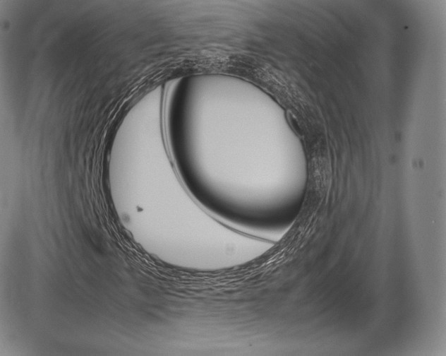 X0000086341057200703300951