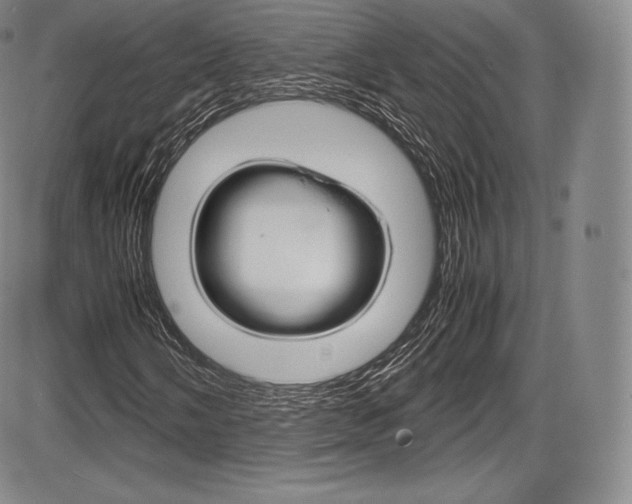 X0000086341058200703300951
