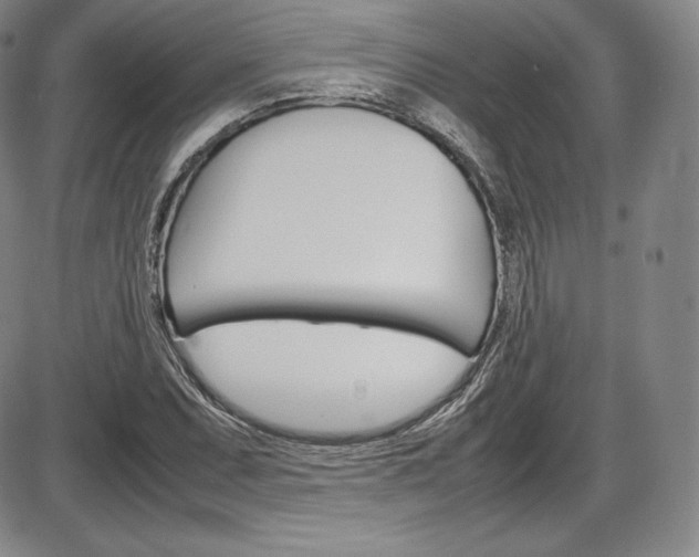 X0000086341071200703300951
