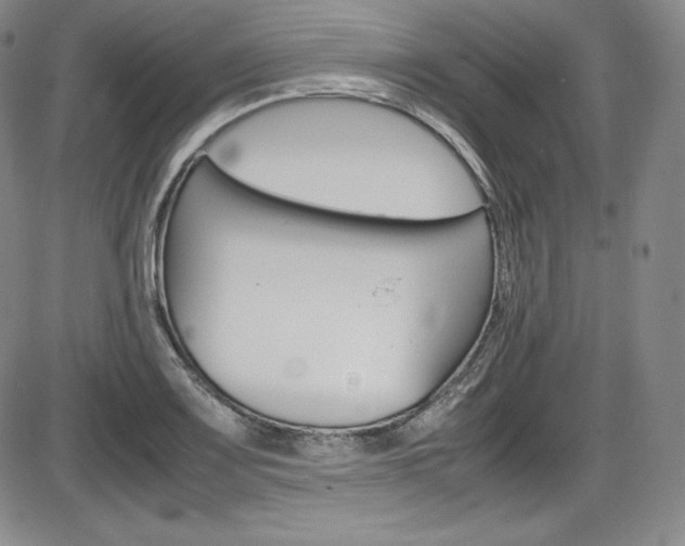 X0000086341083200703300950