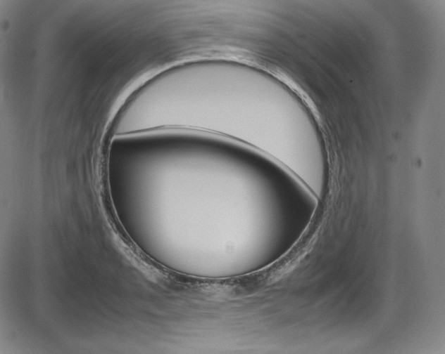 X0000086341085200703300950