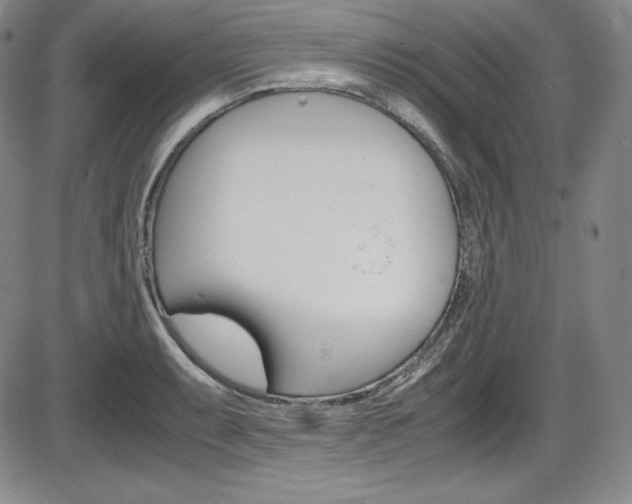 X0000086341087200703300950