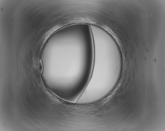 X0000086341089200703300950
