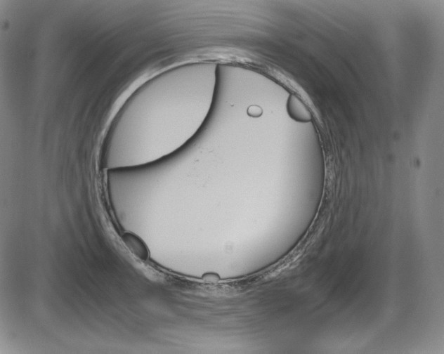 X0000086341091200703300950