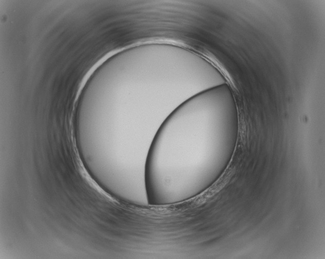 X0000086341092200703300950