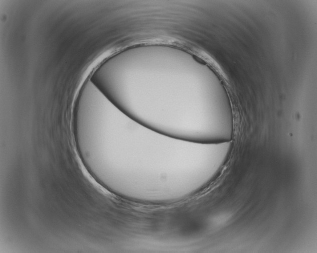 X0000086341095200703300950
