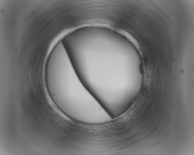 X0000086341096200703300950