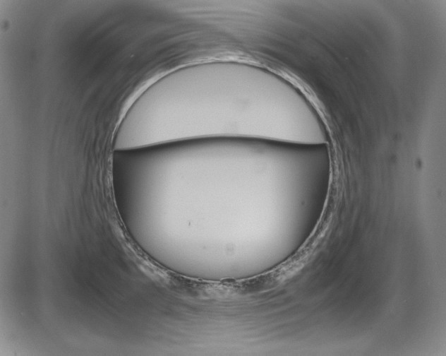 X0000086341097200703300950