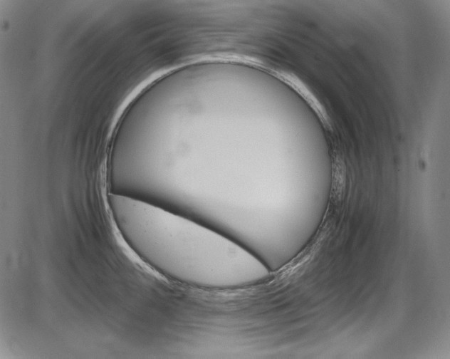 X0000086341100200703300950