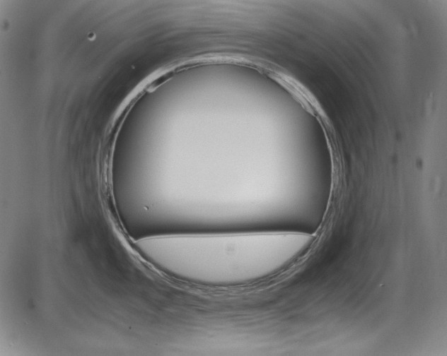 X0000086341101200703300950
