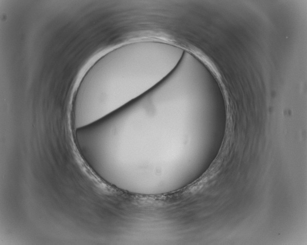 X0000086341104200703300950