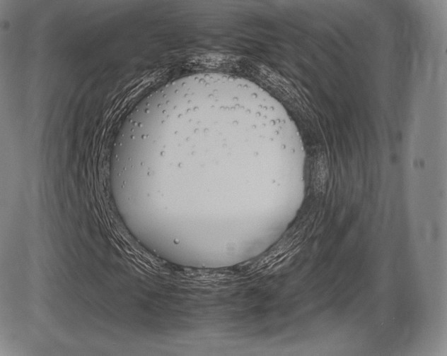 X0000086341105200703300949