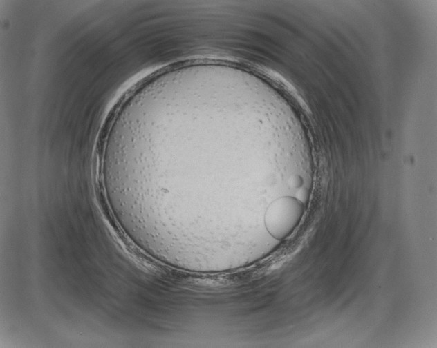 X0000086341125200703300950