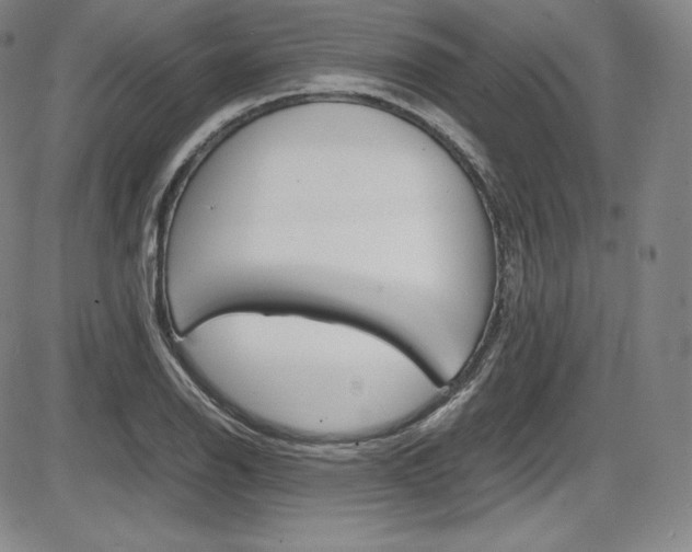 X0000086341126200703300950