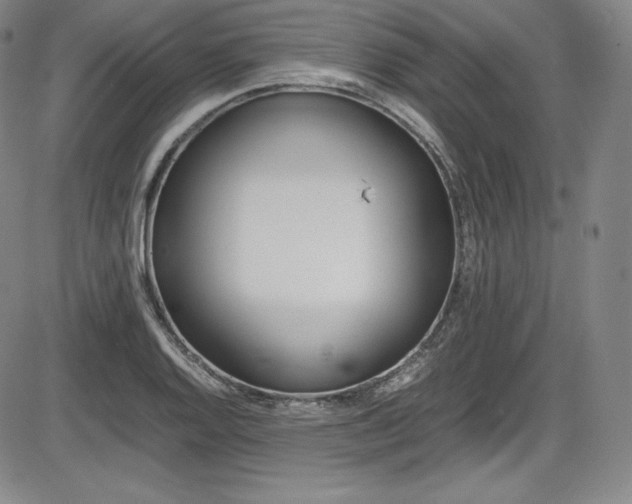 X0000086341128200703300950