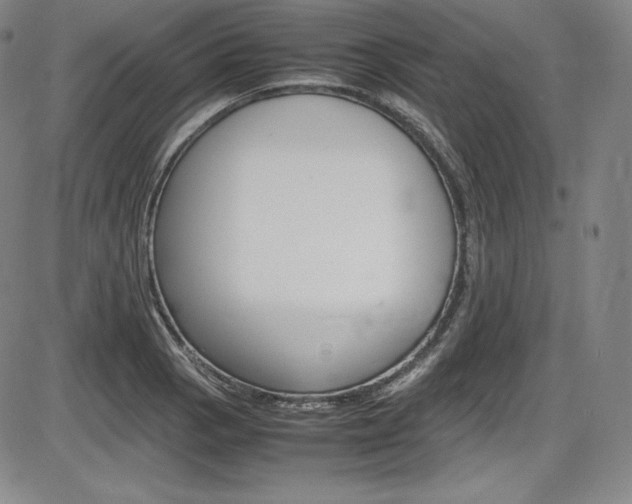 X0000086341129200703300950