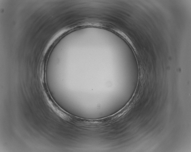 X0000086341131200703300950