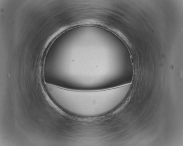 X0000086341134200703300950