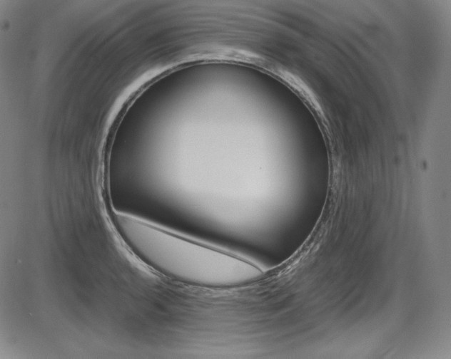 X0000086341136200703300950