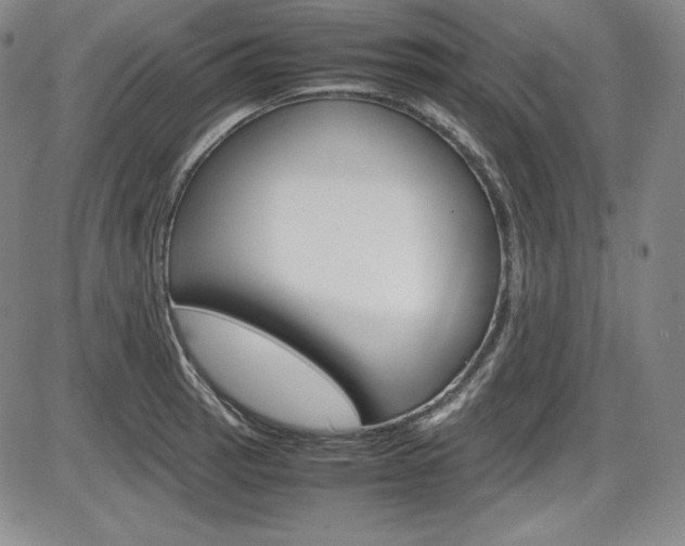 X0000086341137200703300950