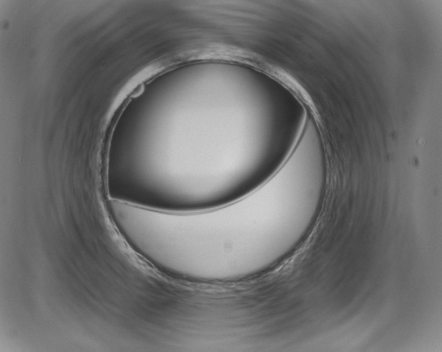 X0000086341138200703300950