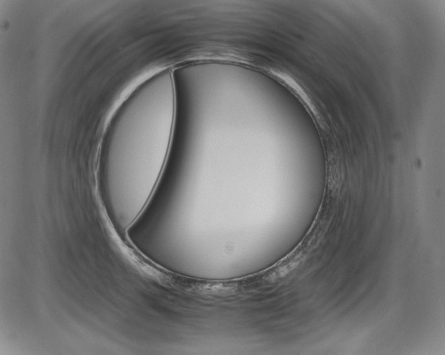 X0000086341139200703300950
