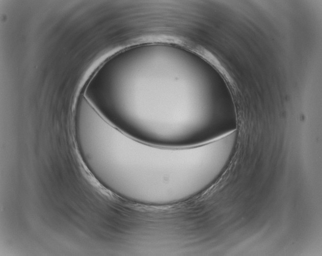 X0000086341140200703300950