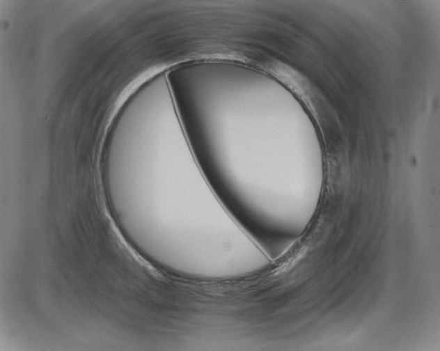 X0000086341141200703300950