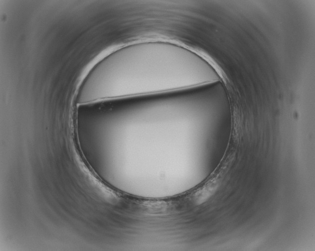 X0000086341142200703300950