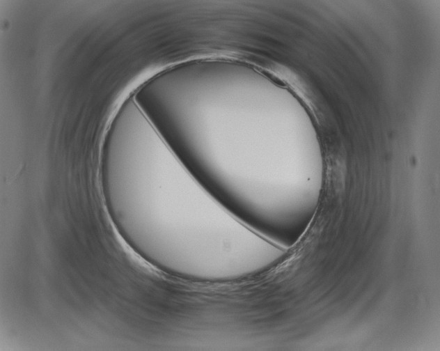 X0000086341143200703300950