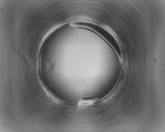 X0000086341144200703300950