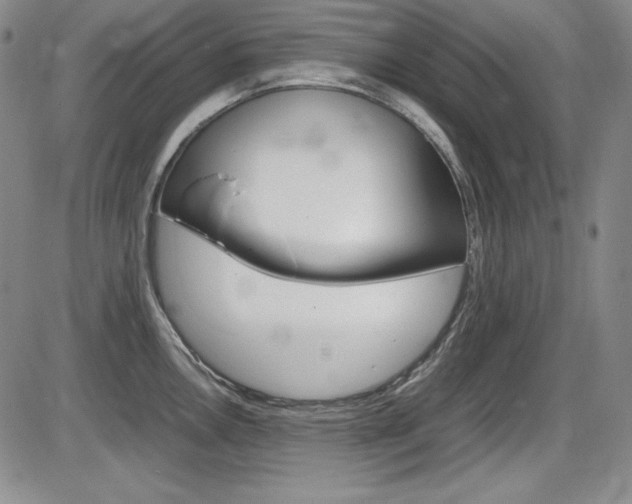 X0000086341146200703300950