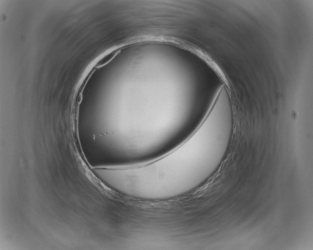 X0000086341148200703300950