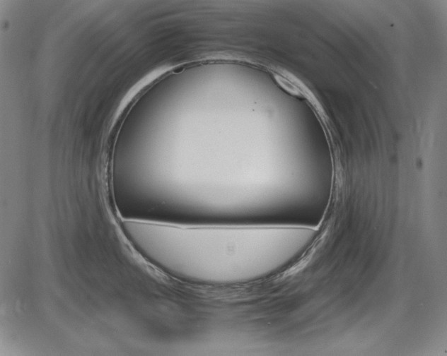 X0000086341149200703300950